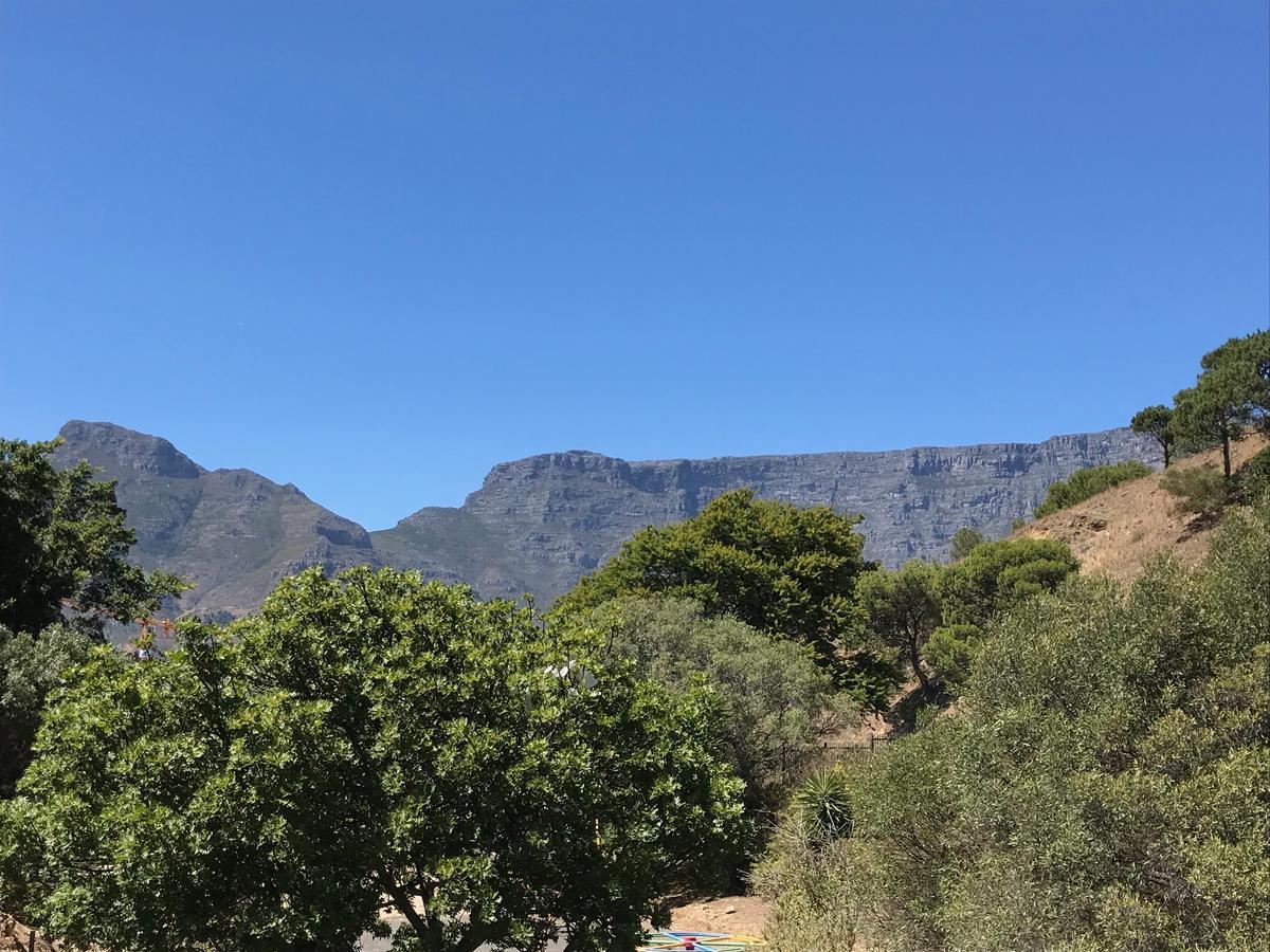 De Waterkant Piazza Apartments 开普敦 外观 照片